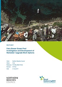 The Fairy Bower Pool Report - 2017 Cover Thumbnail